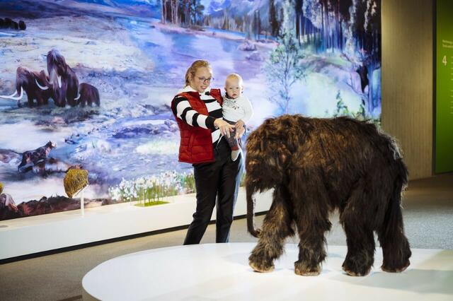 Anlässlich des Internationalen Museumstages am Sonntag, 15. Mai, lädt das Neanderthal Museum in Mettmann unter dem Motto „Krisen trotzen – Museen mit Freude entdecken“ zu einem eintrittsfreien Besuch ein.
