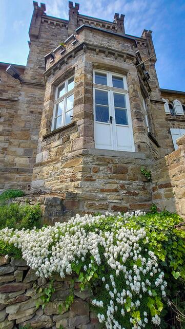 Foto: ©A.Dengs | www.fb.com/AndreasDengsPhotography