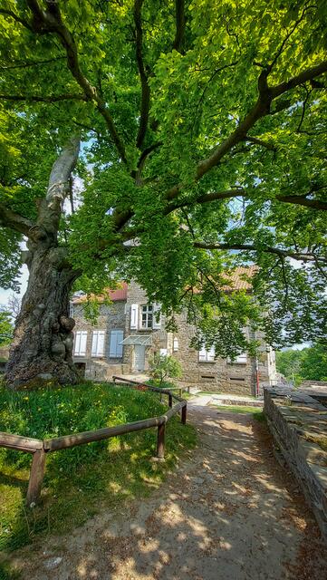 Foto: ©A.Dengs | www.fb.com/AndreasDengsPhotography