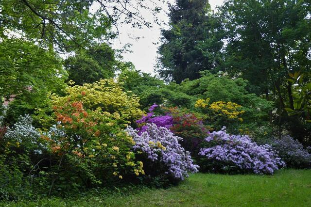 Ein Besuch dieses herrlichen Parks ist immer lohnenswert! - Foto: © Renate Schuparra