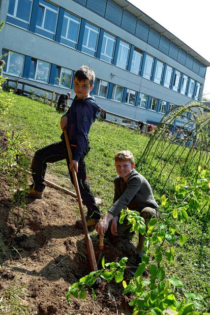 Max und Lennart zeigen vollen Einsatz Foto: von Lauff