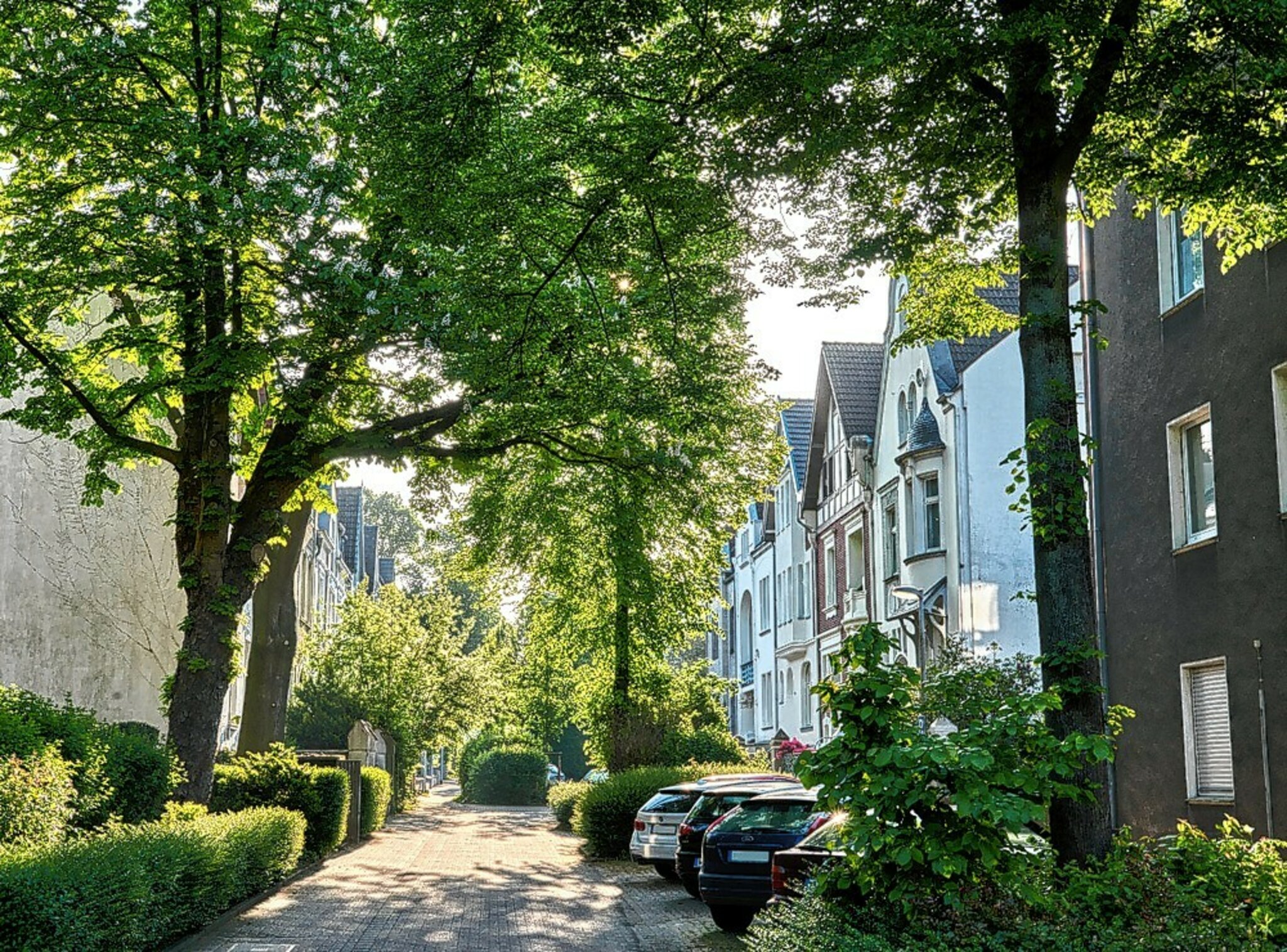 Erlebnistour vom Dichterviertel zum Luisental „Mit Herrn Goethe durch