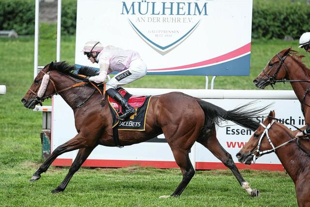 Honore Daumier mit Jockey Leon Wolff beim Sieg im Preis der Kemkes Bautechnik GmbH.