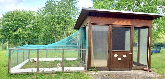 Ein alter Hasenstall wurde zum Hühnerrefugium umgewidmet. Foto: Privat