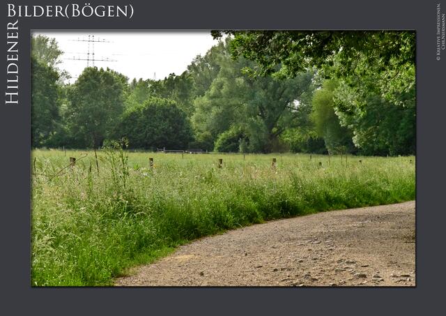 Hildener Bilder(Bögen) - Einfach grün, einfach Natur
Der alte Wirtschaftsweg
