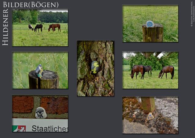 Hildener Bilder(Bögen) - Einfach grün, einfach Natur
ItterStones - auf die Weiterreise gesandt