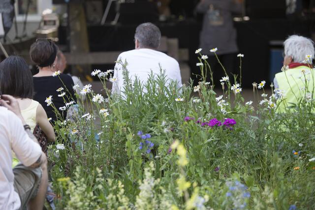 Foto: Heike Cervellera