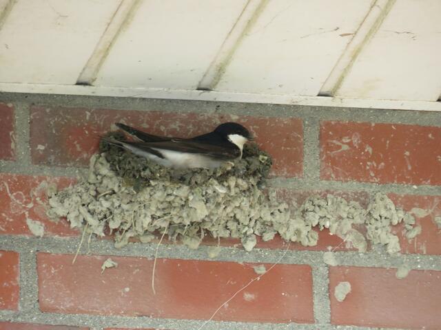 klein aber mein | Foto: umbehaue