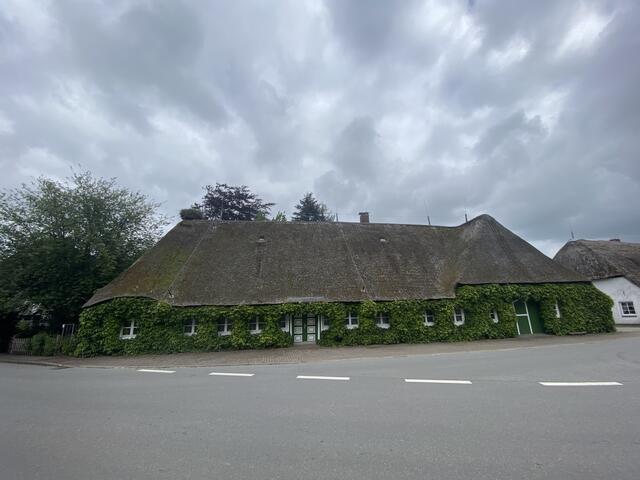 Friesenhaus mit Nest | Foto: umbehaue