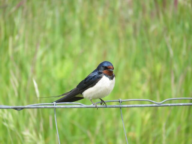 kurze Pause | Foto: umbehaue
