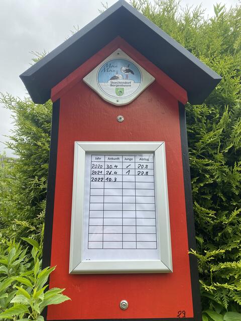 Stammbaum | Foto: umbehaue