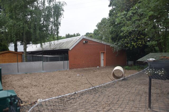 Die alte Hundekrankenstation wird in der zweiten Bauphase abgerissen. Hier entsteht in der dritten Phase das zweistöckige Katzenhaus.  | Foto: Nina Sikora