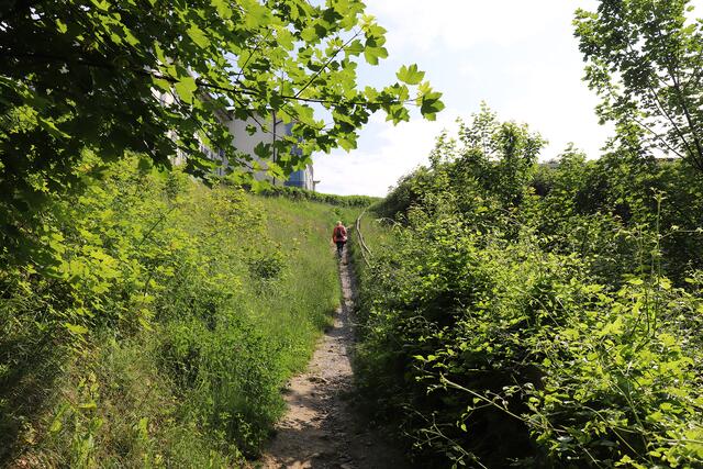 Der Steile Aufstieg vom Lohmer Hafen zum obenliegenden
Ort Lohme.