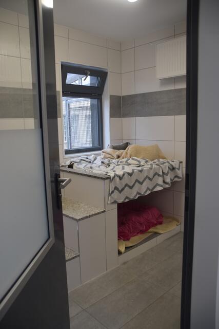 Einer der bereits neugestalteten Hunderäume. | Foto: Nina Sikora