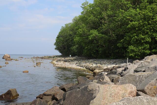 Vom Lohmer Hafen führt ein Wanderweg 4 km lang
bis zum Königsstuhl.