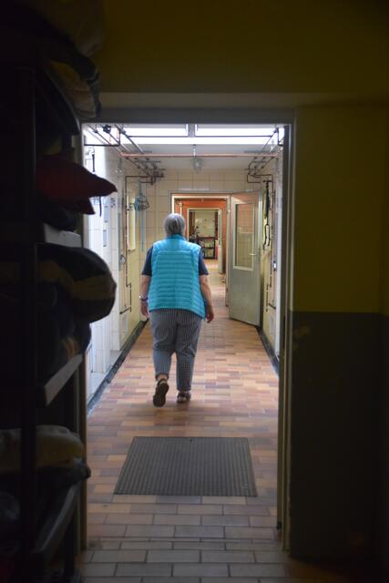 Die alte Hundekrankenstation wird zurzeit von Hunden und Katzen bewohnt.  | Foto: Nina Sikora