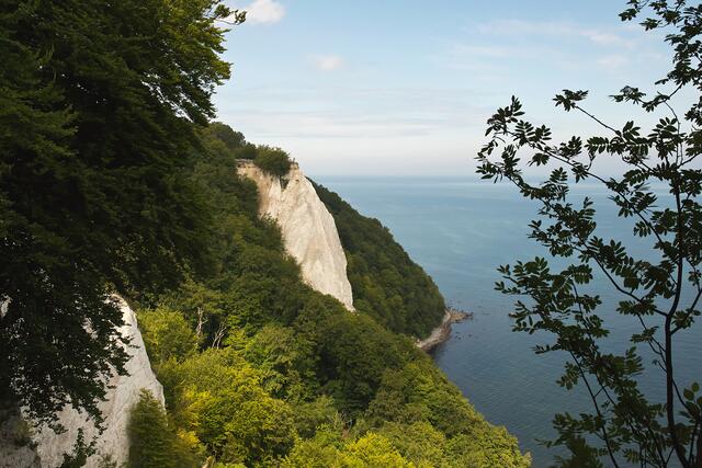 Die Aussicht von der Victoriasicht auf den Königsstuhl Rügen.