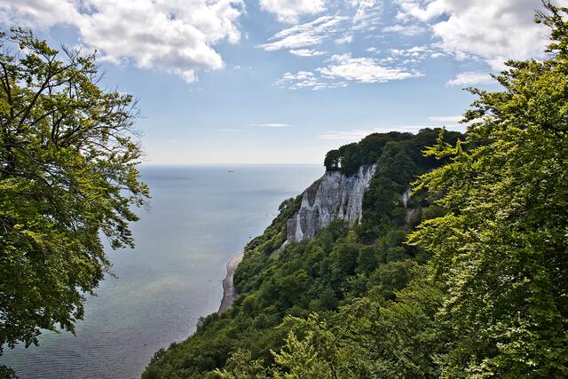 Blick vom Königsstuhl.