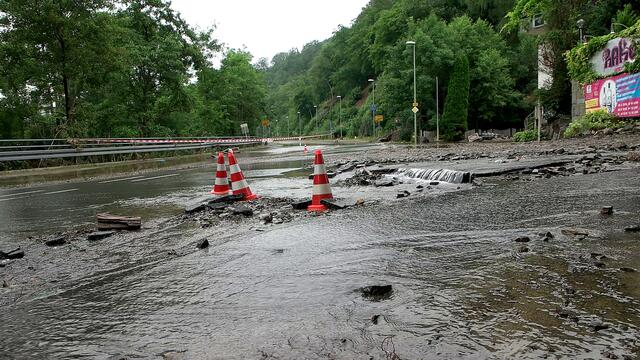 Dahl. Archiv-Foto: Ulrich Rabenort