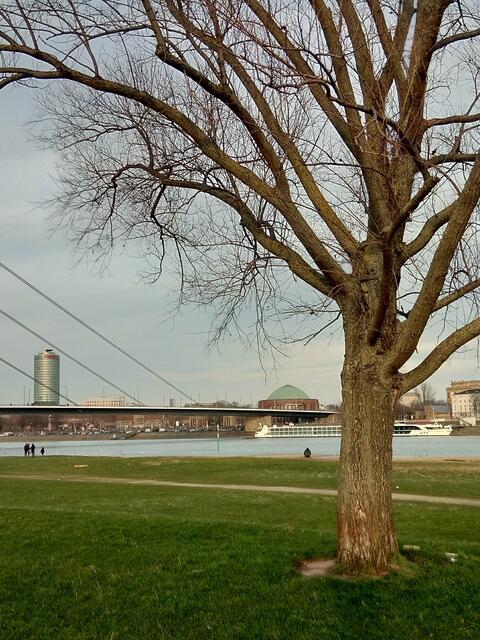 hinüber´ blicken :-) 2022@ana