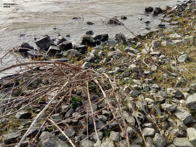 ...nah, am Ufer... 2022@ana