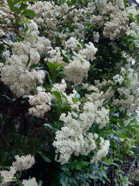 weiß, am Straßenrand