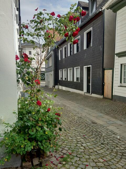 ...wunderbar-idyllische Gassen