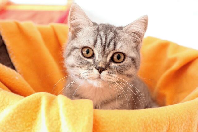 Foto: Andreas Molatta