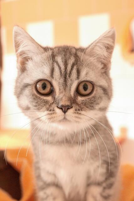 Foto: Andreas Molatta