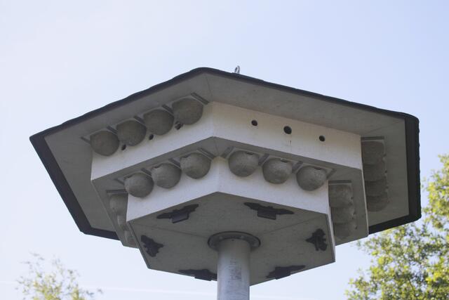 Der Schwalbenturm mit zusätzlichen Spatzennestern schien mir vor 14 Tagen verwaist. Hat jemand etwas anderes beobachtet?