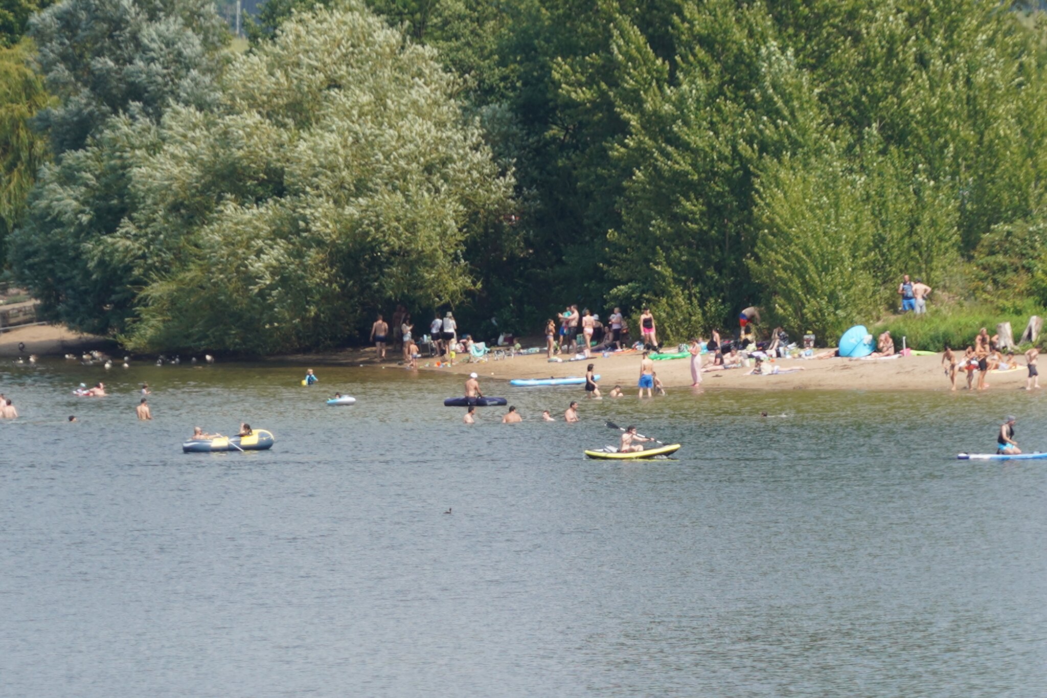 Der Masurensee Duisburg der-masurensee-duisburg