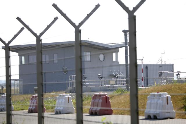 An der Feuerwache des Airports jenseits des Schutzzaunes stört keiner die Schwalben bei ihrem Brutgeschaft.