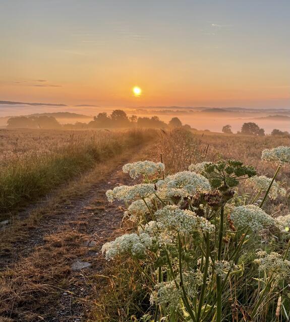 Was ein wunderschöner Morgen 