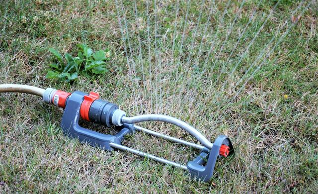 Gießen per Sprenger macht nur bedingt Sinn. | Foto: Anja Roth, VSR