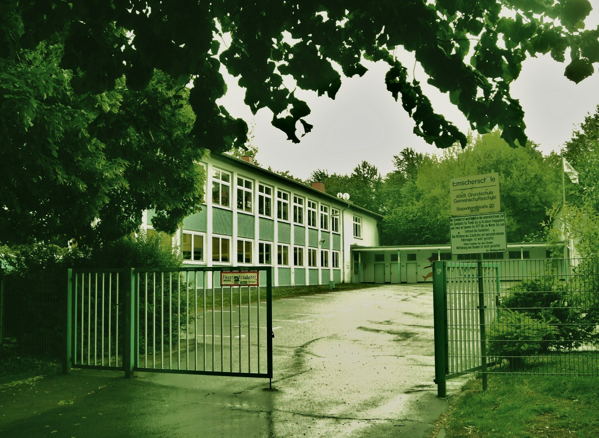 Mehr Grundschulentwicklung für Altenessen: Grüne: Die Emscherschule in