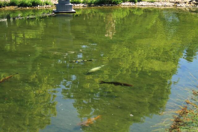 Düsseldorf, Nordpark