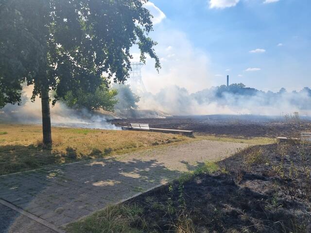 Ein Flächenbrand in den Consolpark in Bismarck hielt die Feuerwehr Gelsenkirchen eineinhalb Sunden in Atem. | Foto: Feuerwehr Gelsenkirchen