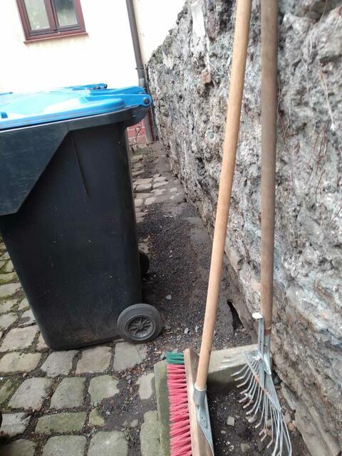 Die Ratten krabbeln auch in die Mülltonnen und beißen sich sogar durch das Plastik.