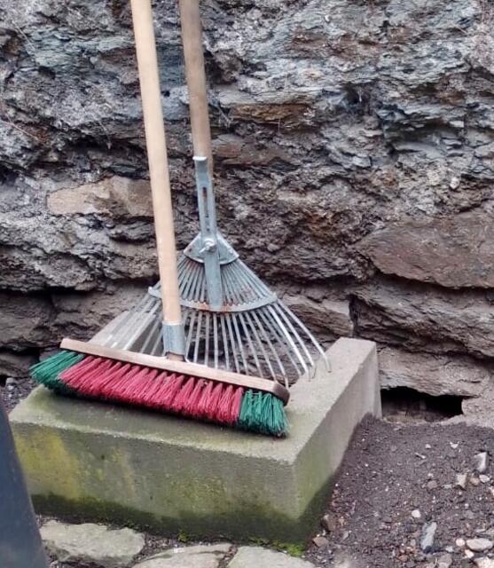 Überall verdächtige Ritzen und Mauerspalten - Ideale Unterschlupfmöglichkeiten für die flinken Nager.