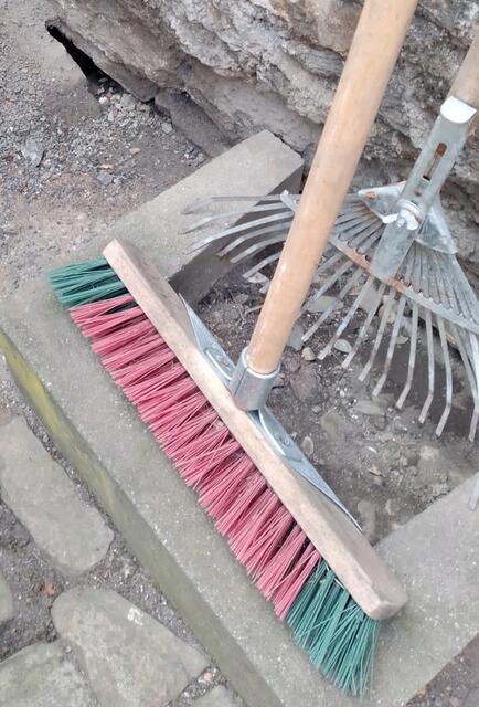 Die Ratten kriechen aus den Ritzen einer Mauer. Foto: Juvo