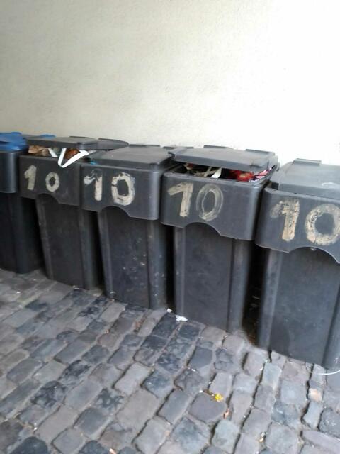 Übervolle und kaputte Mülltonnen bieten jede Menge Nahrung für die unerwünschten „Gäste“. Foto: Juvo