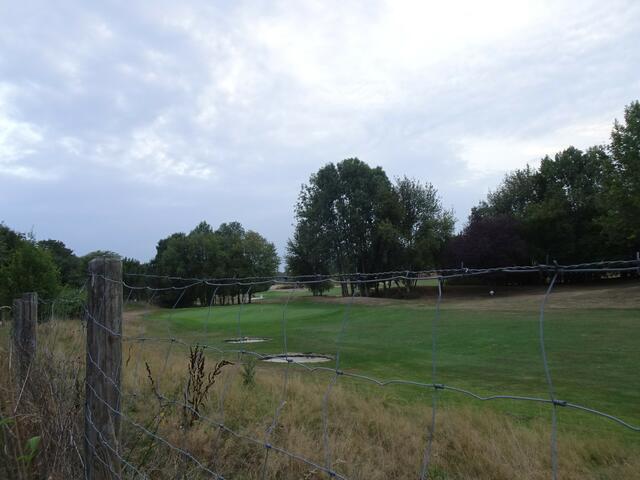 Gelsenkirchen ist sehr grün geworden. 