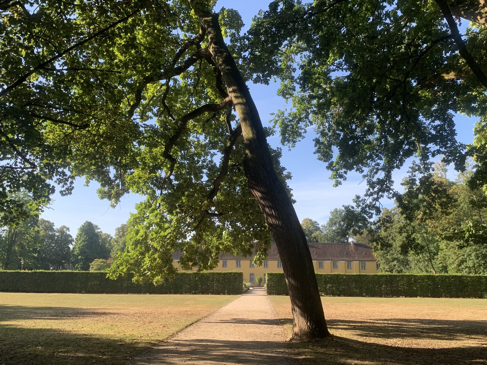 Blütenmeer Im Garten der Orangerie Schloss Benrath Düsseldorf