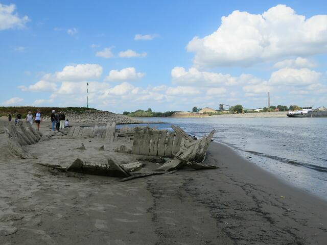 Wrack De Hoop in Griethausen Rheinkilometer 860 | Foto: umbehaue