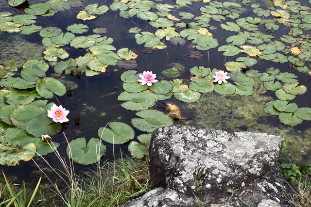 Am EKO-Haus, Düsseldorf