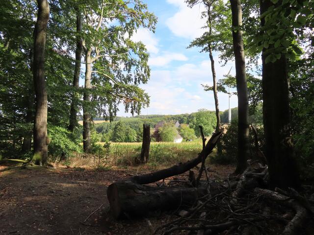 Naherholungsgebiet Oberstüter Hattinger Hügelland Hattingen