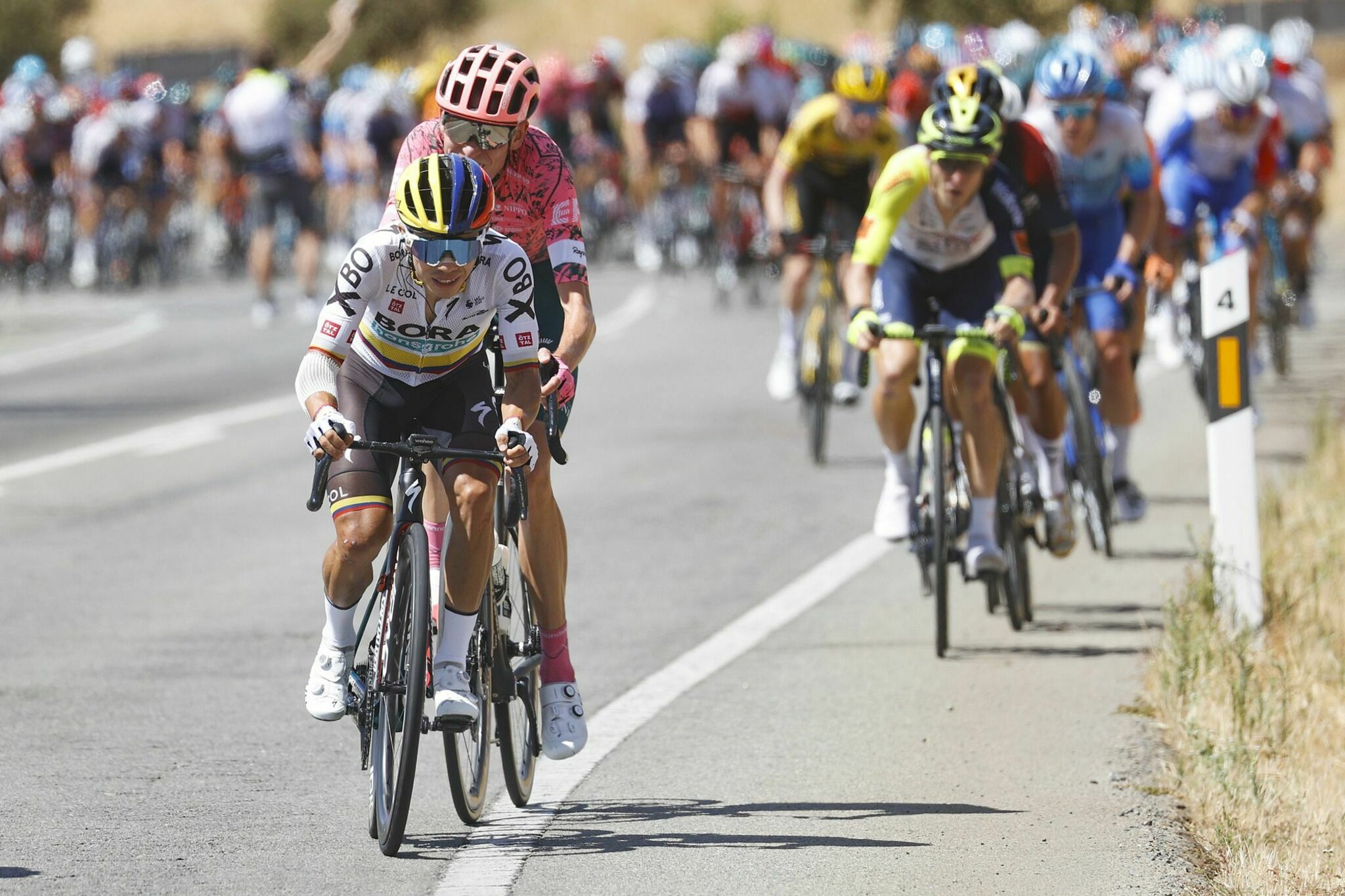 Ausreißergruppe dominiert 17. Etappe der Vuelta Die 20. Etappe der