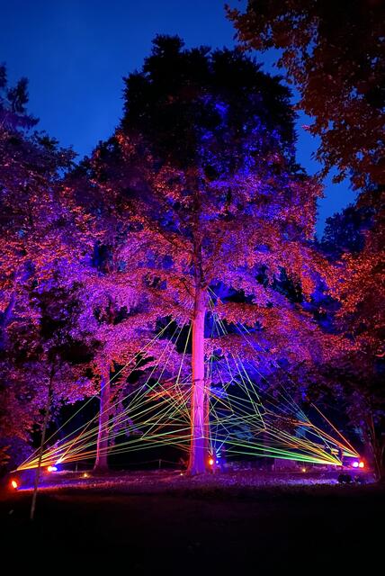 Ein magisches Schloss und "Wunderbare Gärten" Das Lichtfestival