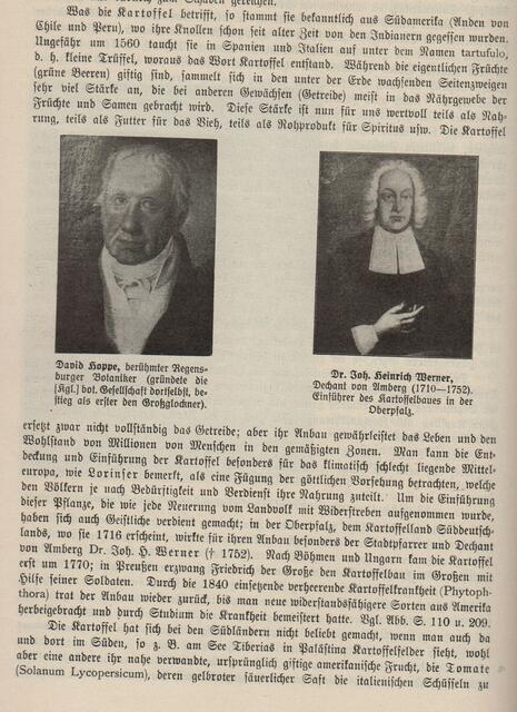 Wie ein Loblied auf die Kartoffel klingt es im 100 Jahre alten "Buch der Natzr".  Von "Fügung der göttlichen Vorsehrung" ist da die Rede, die das Leben und den Wohlstand von Millionen von Menschen gewährleistet. Unabhängig vom Glauben des Einzelnen  spricht daraus eine andere Form von Werschätzung als heute. Wie oft sehe ich Pommes, die achtlos auf dem Gehweg entsorgt wurden.