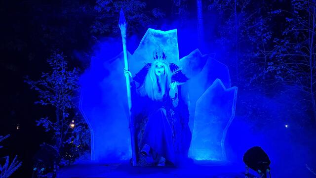 Morgana - die Eiskönigin der Nacht im Toverland | Foto: (privat)